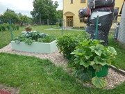 Zahrádka ve školce